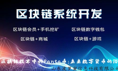 深入解析区块链技术中的Panta币：未来数字货币的潜力与挑战