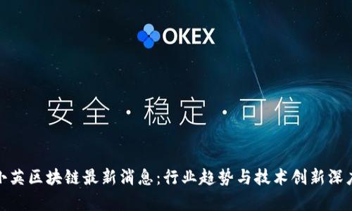 : 王小英区块链最新消息：行业趋势与技术创新深度解析
