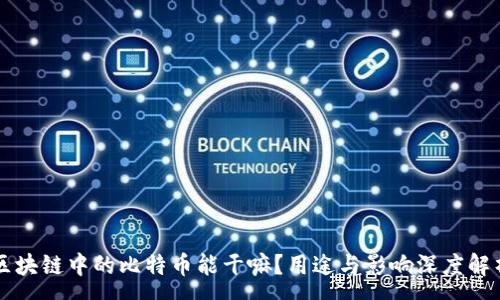 :
区块链中的比特币能干嘛？用途与影响深度解析