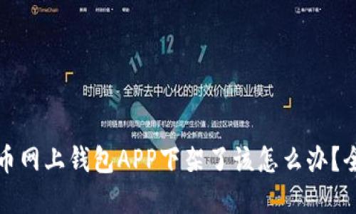 加密货币网上钱包APP下架了该怎么办？全面指南