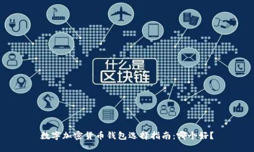 数字加密货币钱包选择指南：哪个好？
