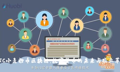 WTC小麦粉币区块链：数字货币的未来与农业革命