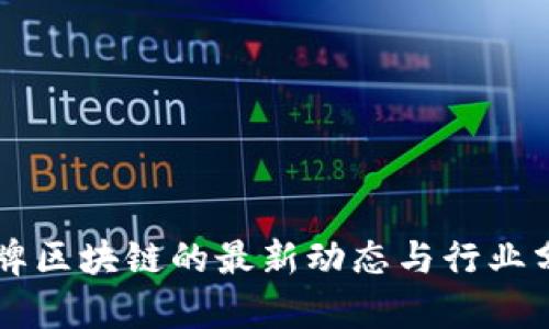 冒牌区块链的最新动态与行业分析