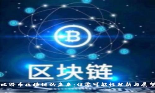 比特币区块链的未来：归零可能性分析与展望