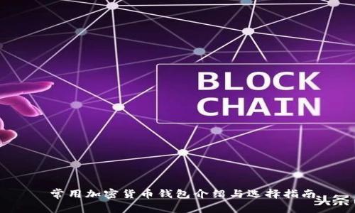  常用加密货币钱包介绍与选择指南