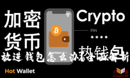 加密货币没放进钱包怎么办？全面解析与解决方案