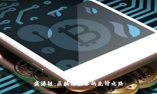 盛源链：区块链技术的先锋之路