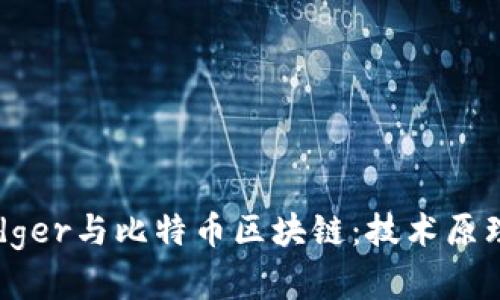 深入了解Ledger与比特币区块链：技术原理与应用前景