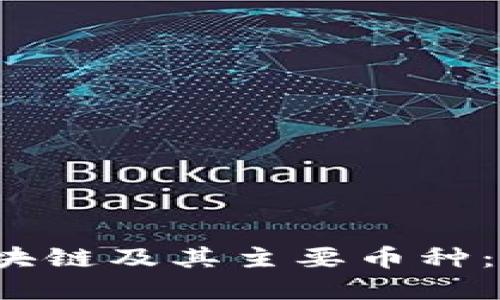 深入探讨区块链及其主要币种：你了解多少？