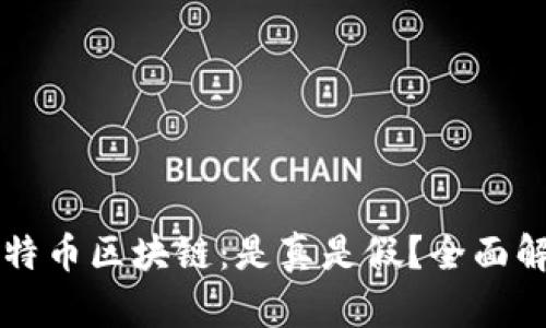 比特币区块链：是真是假？全面解析