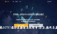 央视CCTV1揭秘区块链与比特