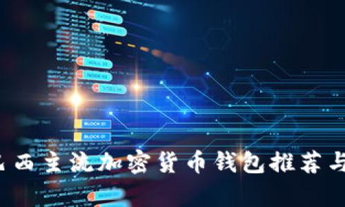 2023年巴西主流加密货币钱包推荐与详细解析