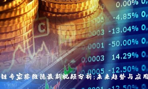 区块链专家蔡维德最新视频分析：未来趋势与应用前景