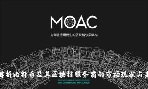 : 深入解析比特币及其区块链服务商的市场现状与未来发展