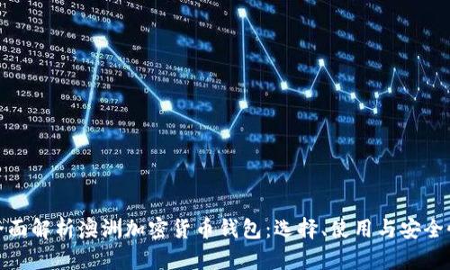 全面解析澳洲加密货币钱包：选择、使用与安全性
