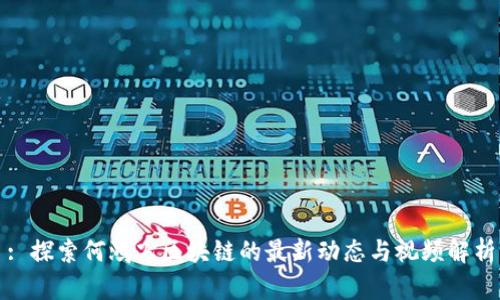 : 探索何鸿飞区块链的最新动态与视频解析
