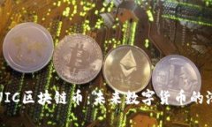 深入了解UIC区块链币：未来数字货币的潜力与挑