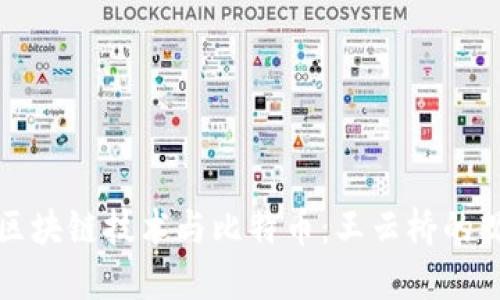 深入探讨区块链技术与比特币：王云桥的观点与见解