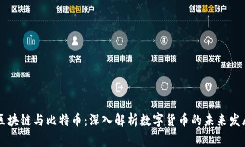 区块链与比特币：深入解析数字货币的未来发展