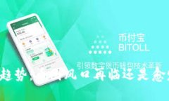 区块链未来趋势：币圈风