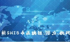 深入解析SHIB币区块链：潜