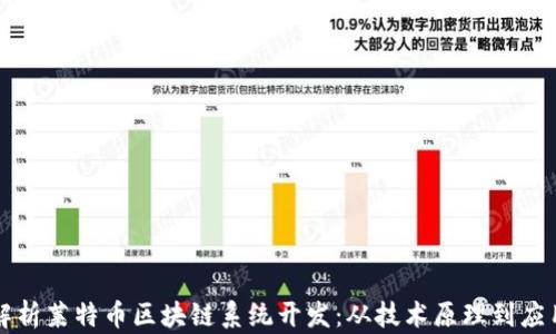 
深入解析莱特币区块链系统开发：从技术原理到应用前景