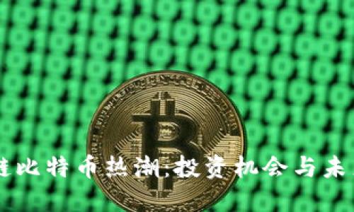 区块链比特币热潮：投资机会与未来展望