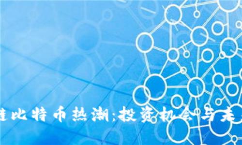 区块链比特币热潮：投资机会与未来展望