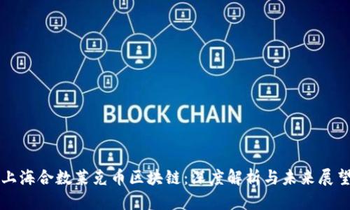 上海合数莱克币区块链：深度解析与未来展望