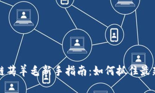 区块链薅羊毛新手指南：如何抓住最新机会