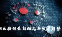 罗湖区块链最新动态与发